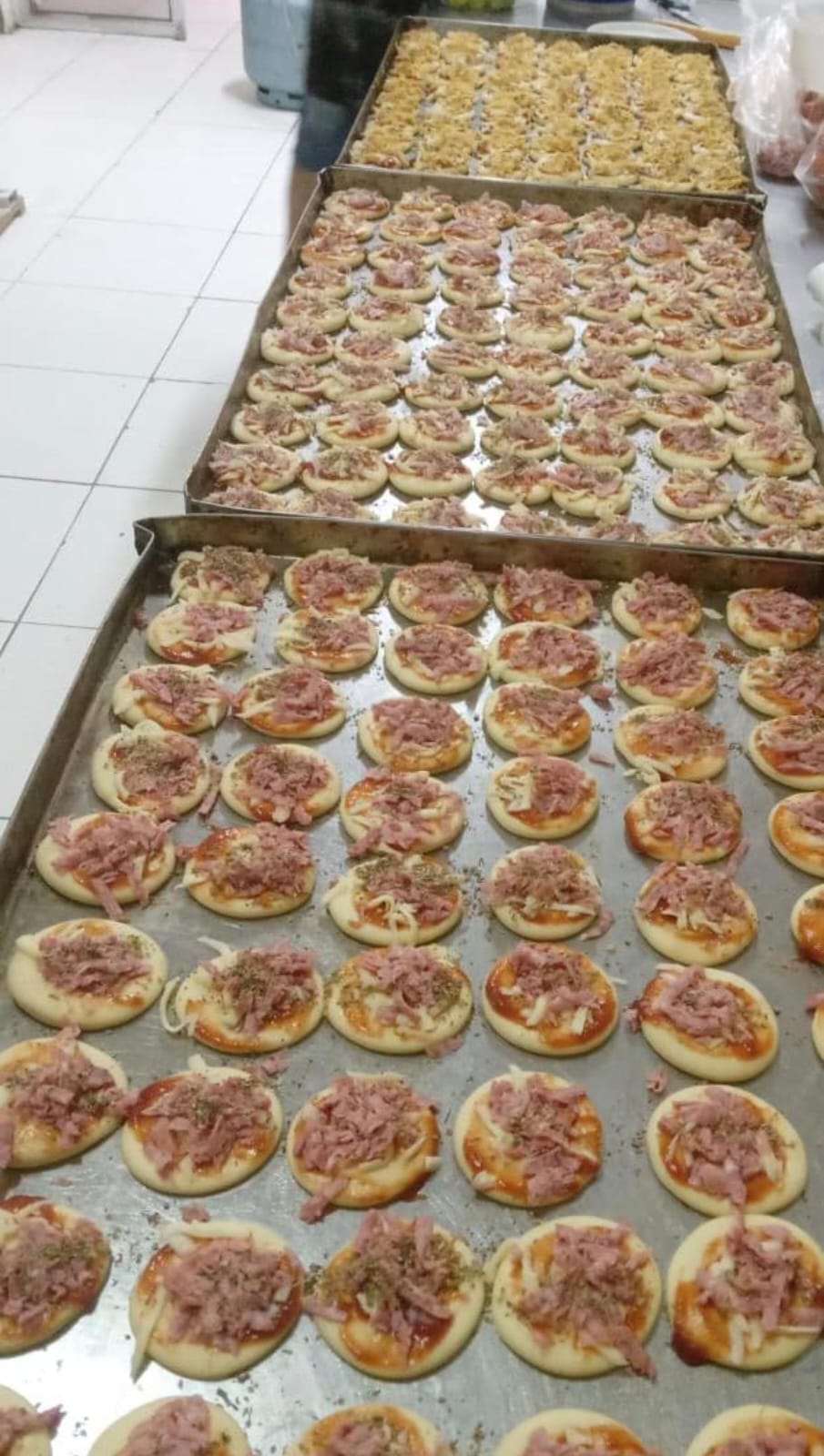 Salgados Assados Mini